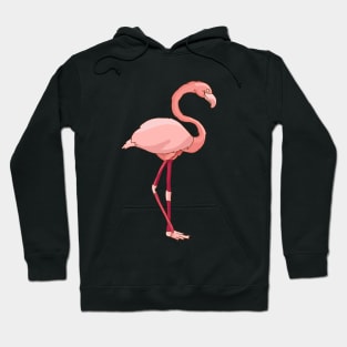 flamingo Hoodie